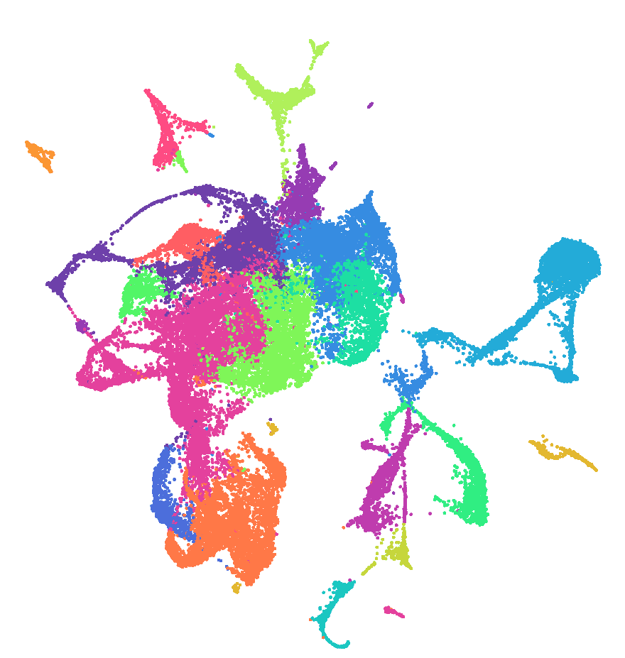 Central Nervous System (CNS)