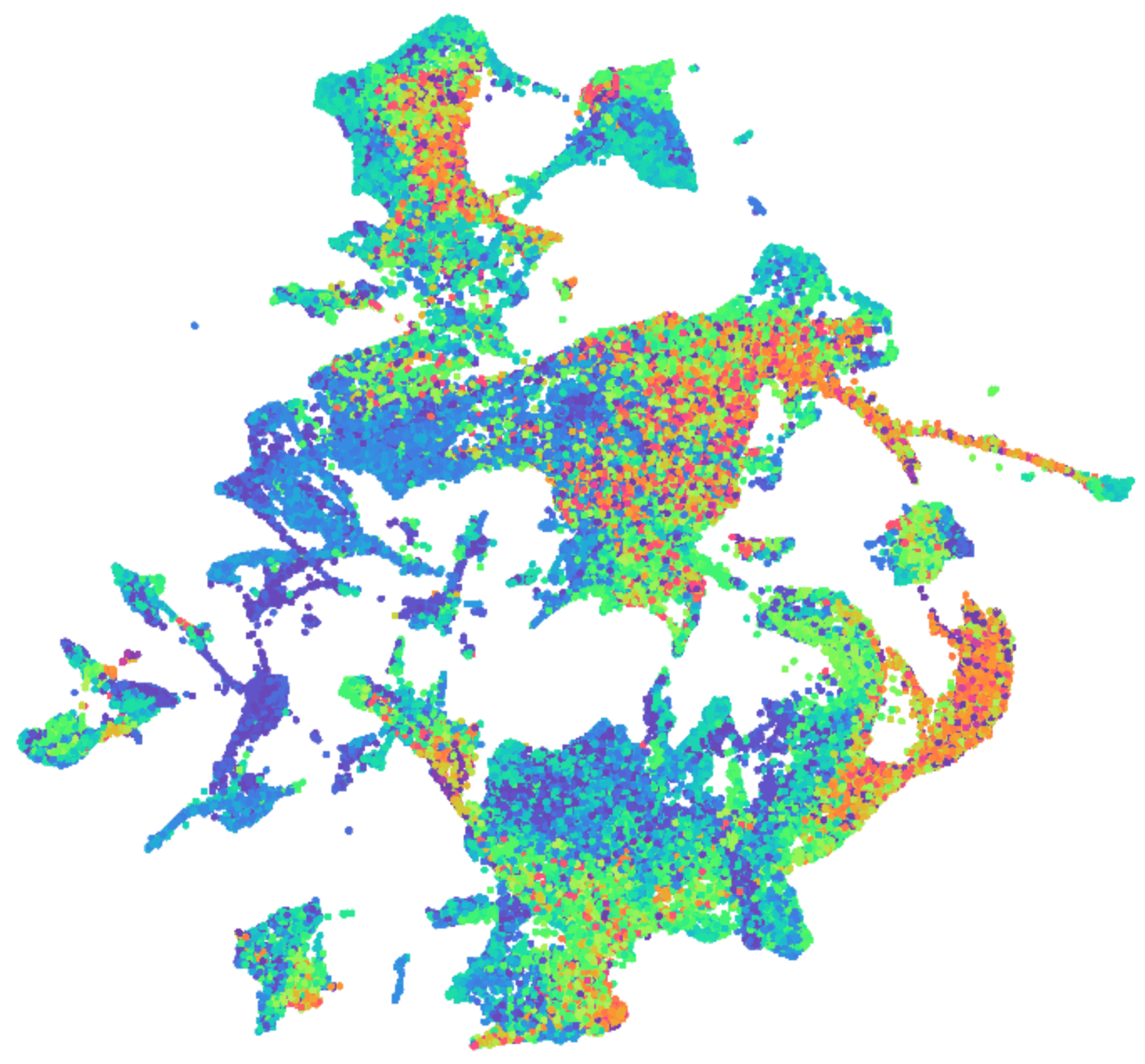 Full zebrahub single cell dataset visualized with cellxgene